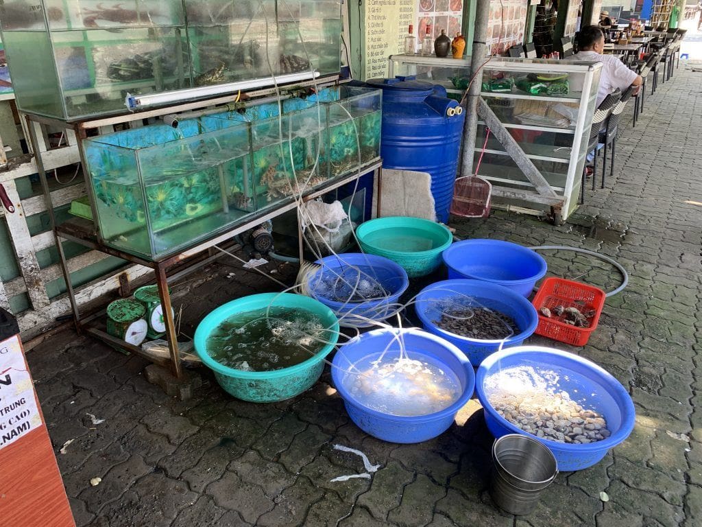 where to eat da nang
