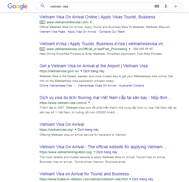 vietnam visa google results